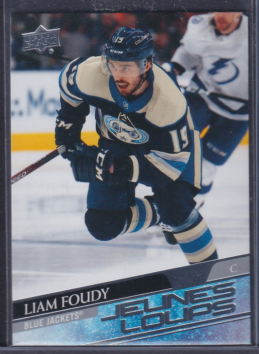 LIAM FOUDY - 2020 Upper Deck Young Guns #224