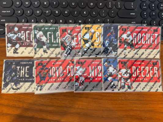 1996 Donruss Vanity Plates Partial Set - Belfour, Potvin, Bure, etc.